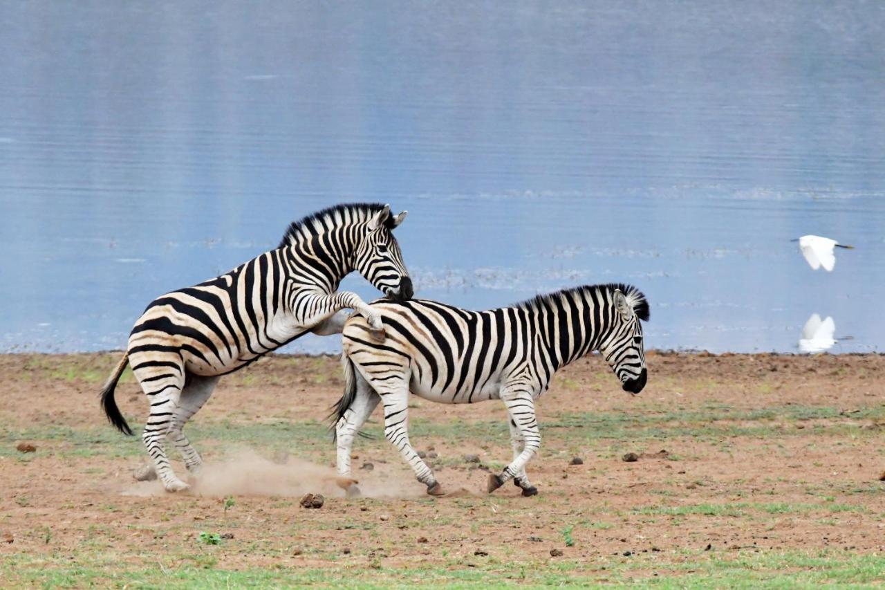 Tented Adventures Pilanesberg Exterior foto
